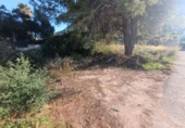 Sòl urbà en venda a Dénia ref.: TR341618 foto