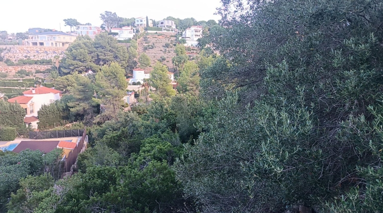 Аликанте - Denia - 903m2