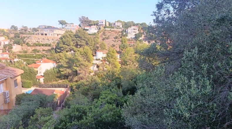 Аликанте - Denia - 903m2