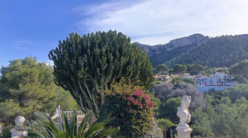Alicante - Denia - 2109m2