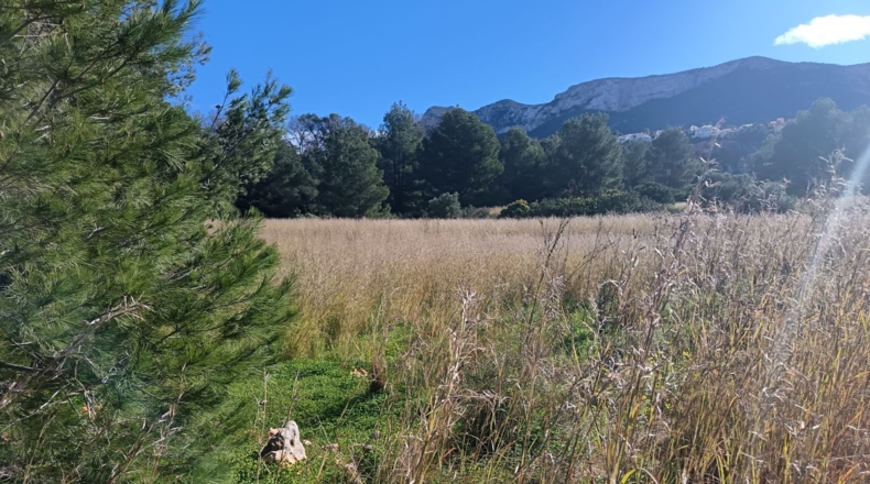 Alicante - Denia - 1550m2