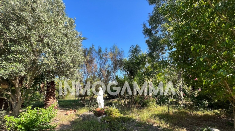 Valencia - Cullera - 2782m2