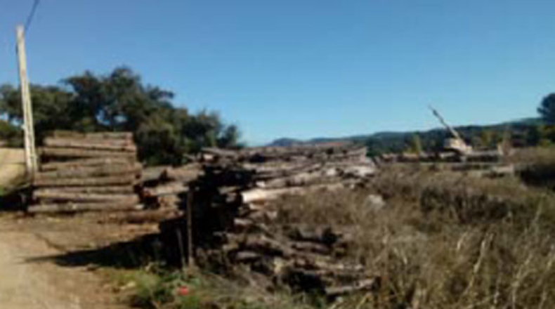 Córdoba - Córdoba - 1275m2