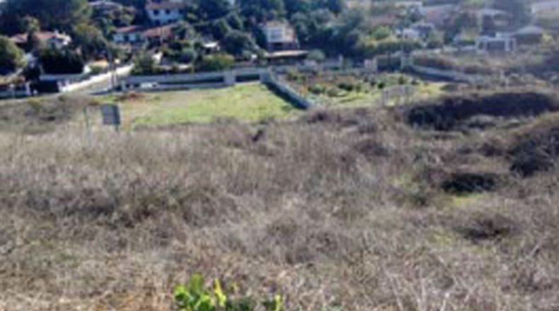 Córdoba - Córdoba - 1275m2