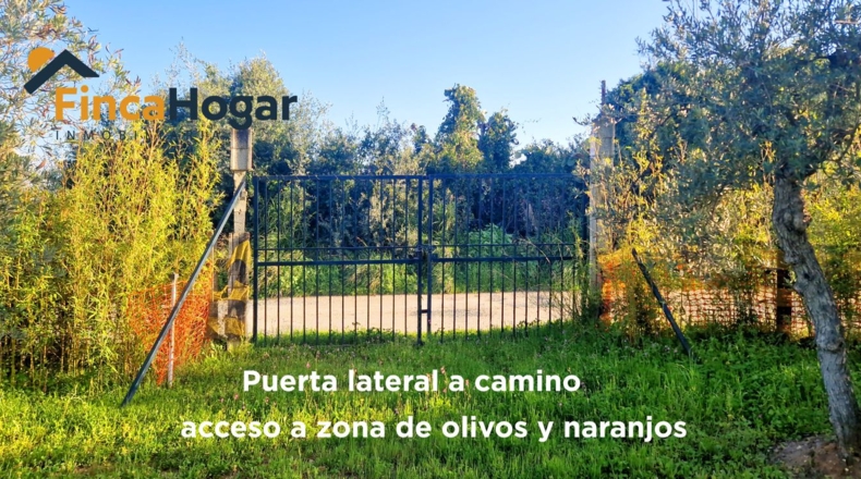 Sevilla - Arahal - 3000m2