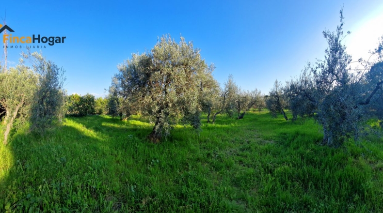 Sevilla - Arahal - 3000m2