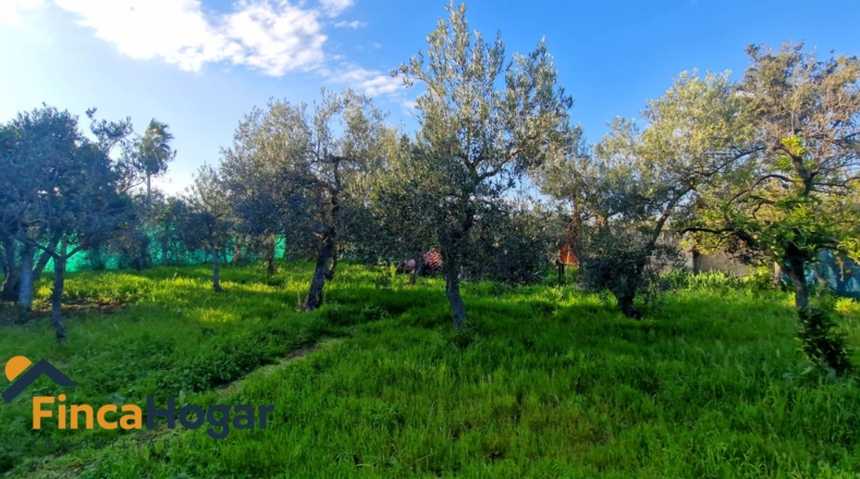 Sevilla - Arahal - 3000m2