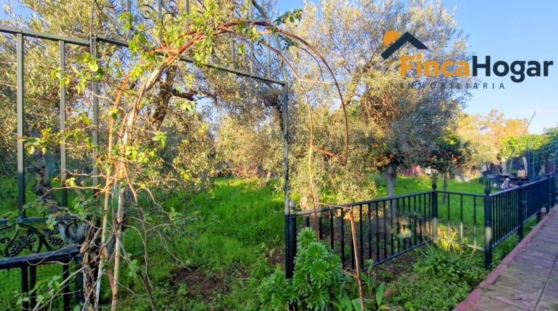 Sevilla - Arahal - 3000m2