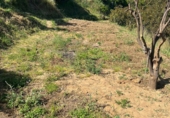 Terreno no urbanizable en venta en Ojén ref: TR49171 foto