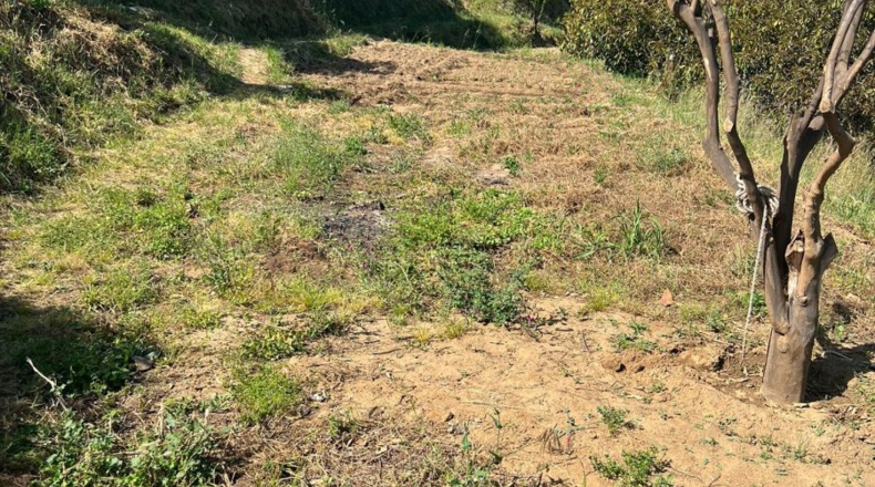 Málaga - Monte Elviria - 3000m2