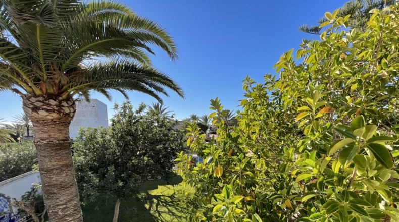 Alicante - La Zenia - 1445m2