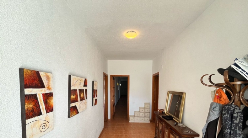Alicante - Benferri - 10500m2