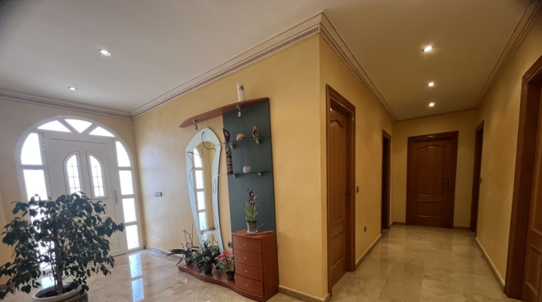 Alicante - Orihuela - 1000m2