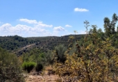 Parcel·la urbanitzable en venda a la España, les Useres, ref.: TR102855 foto