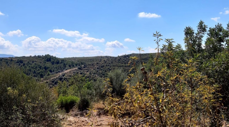 Castellón - Useras - 357m2