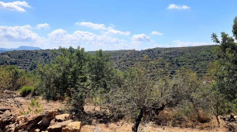 Castellón - Useras - 357m2