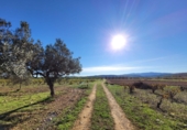 Village house for sale on España, Museros, ref: TR357444 photo