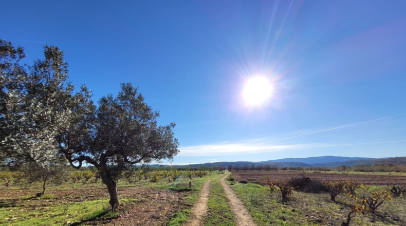 Valencia - Museros - 500m2