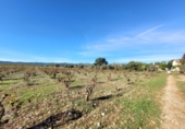 Village house for sale on España, Museros, ref: TR357444 photo