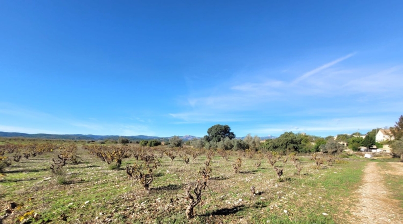 Valencia - Museros - 500m2