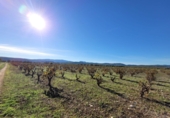 Village house for sale on España, Museros, ref: TR357444 photo