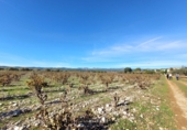Village house for sale on España, Museros, ref: TR357444 photo