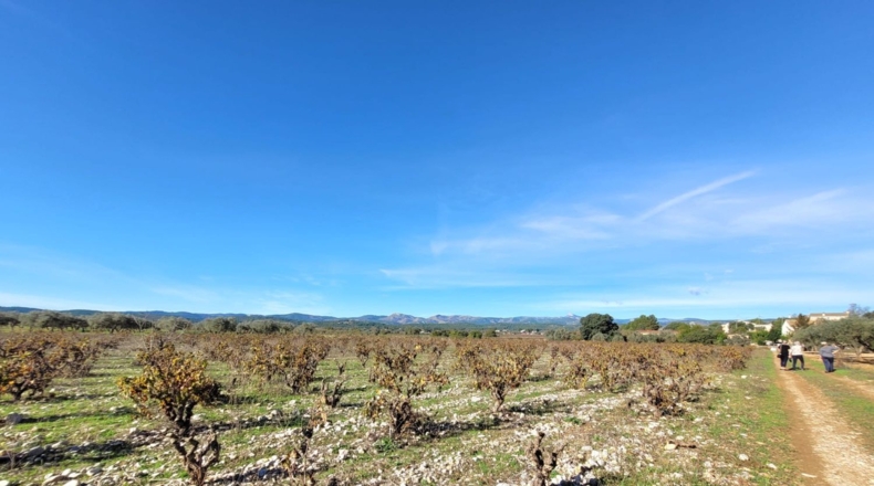 Valencia - Museros - 500m2