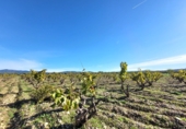 Village house for sale on España, Museros, ref: TR357444 photo