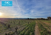 Village house for sale on España, Museros, ref: TR357444 photo