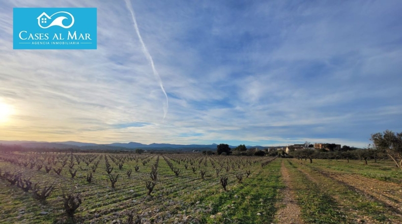 Valencia - Museros - 500m2