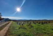 Village house for sale on España, Museros, ref: TR357444 photo