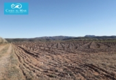 Village house for sale on España, Museros, ref: TR357444 photo