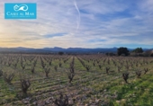 Village house for sale on España, Museros, ref: TR357444 photo