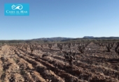 Village house for sale on España, Museros, ref: TR357444 photo