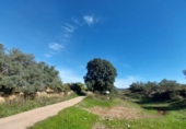 Village house for sale on España, Museros, ref: TR357444 photo