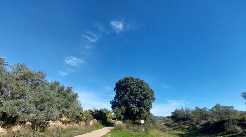 Valencia - Museros - 500m2