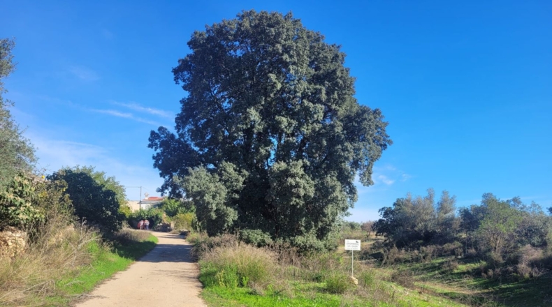 Valencia - Museros - 500m2