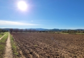 Village house for sale on España, Museros, ref: TR357444 photo