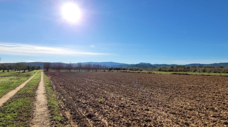 Valencia - Museros - 500m2