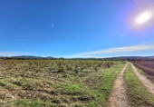 Village house for sale on España, Museros, ref: TR357444 photo