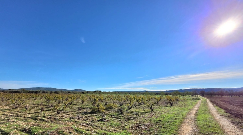 Valencia - Museros - 500m2