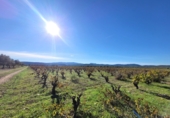 Village house for sale on España, Museros, ref: TR357444 photo