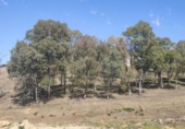 Sòl urbà en venda a Alcalá de Guadaíra ref.: TR73707 foto