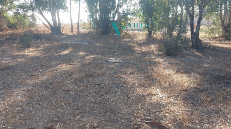 Sevilla - Alcalá de Guadaíra - 2500m2