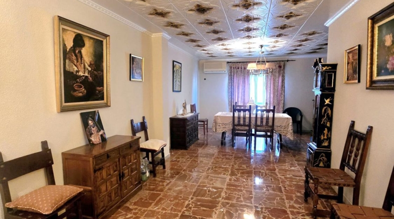 Sevilla - Alcalá de Guadaíra - 435m2