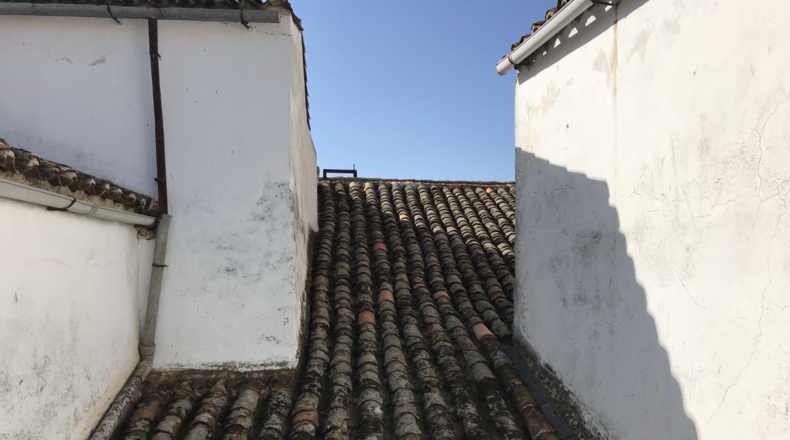 Cáceres - Trujillo - 450m2