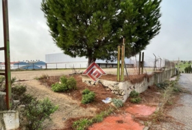 Foto 15