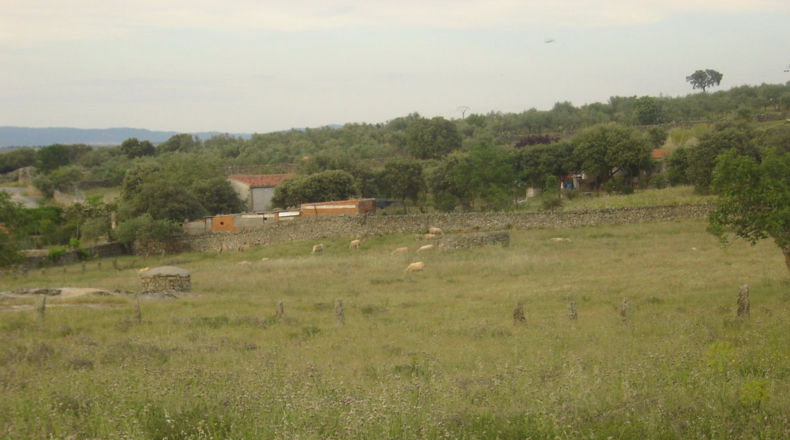 Cáceres - Trujillo - 10000m2