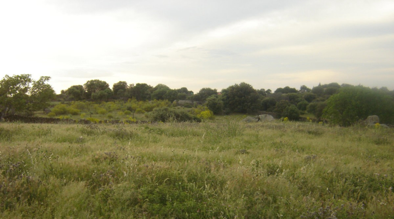 Cáceres - Trujillo - 10000m2