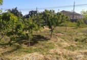 Urban land for sale in Ruanes ref: TR11891 photo